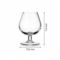 copa globo coñac 25 cl